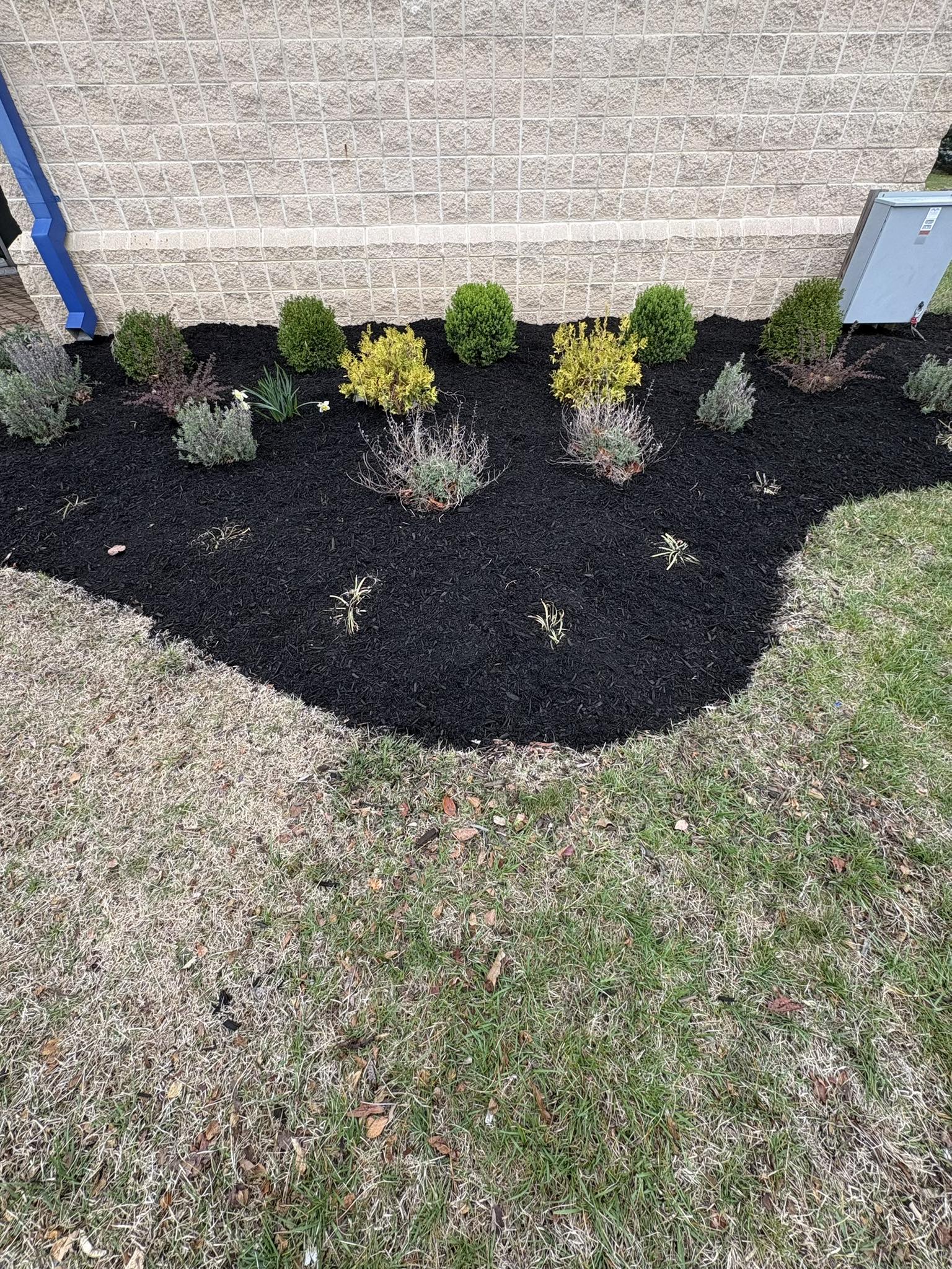 Mulching by Four Roots Landscaping in Front Royal VA