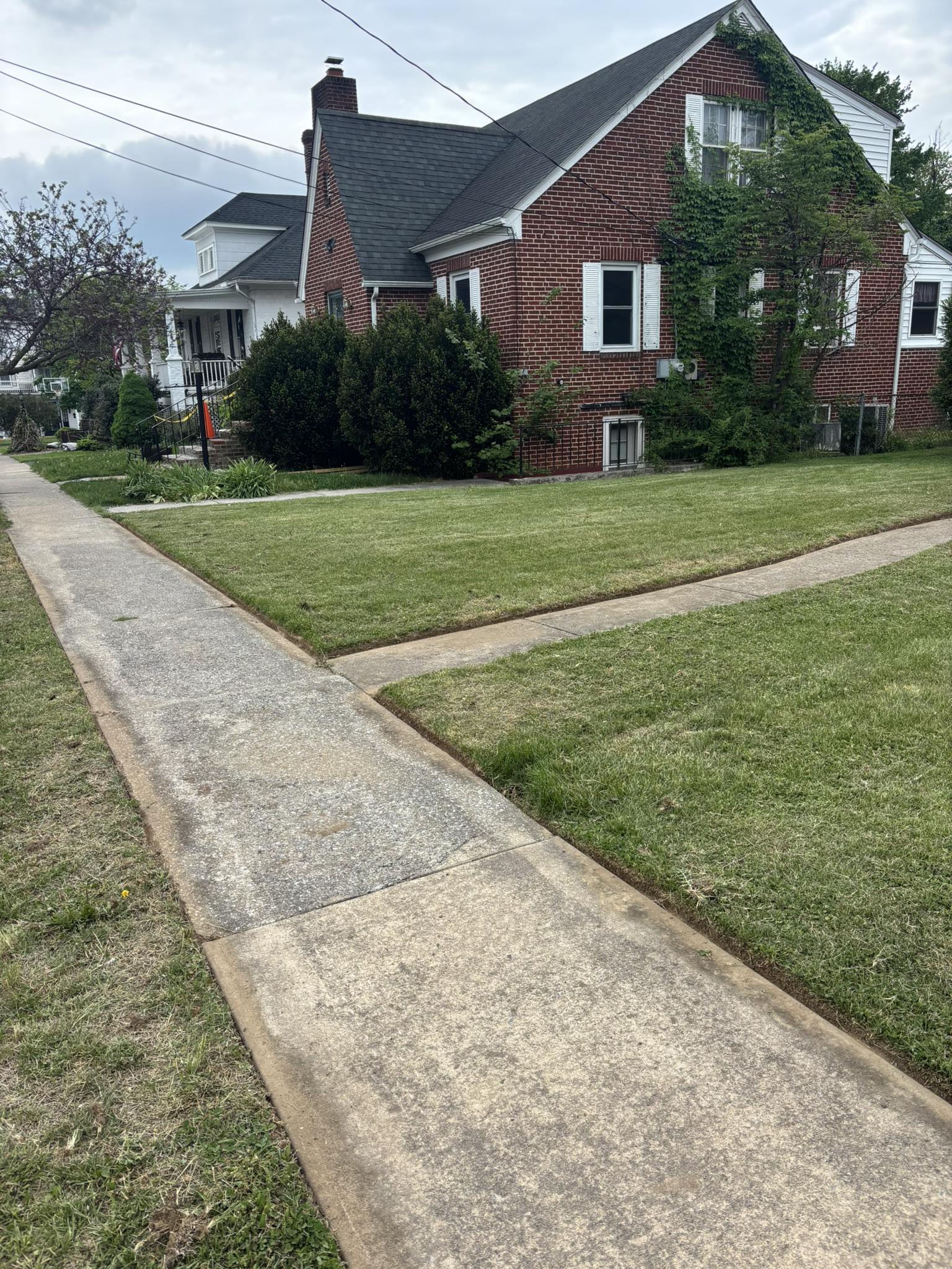 Leaf Removal by Four Roots Landscaping in Front Royal VA