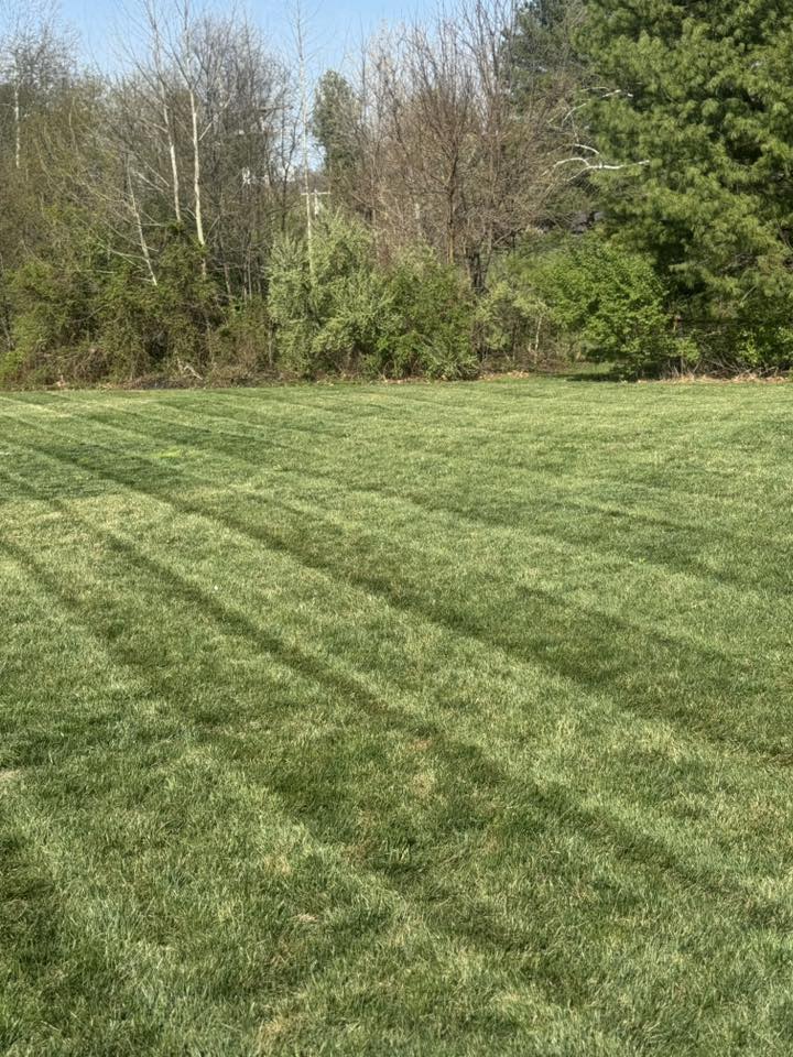 Professional lawn care by Four Roots Landscaping