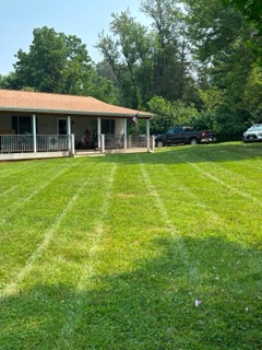 Freshly mowed lawn with stripes in front of a ranch home