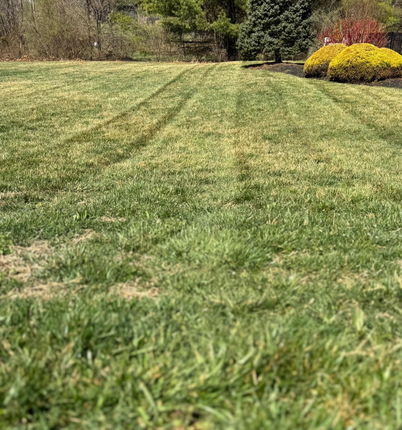 Lawn mowing in Winchester VA