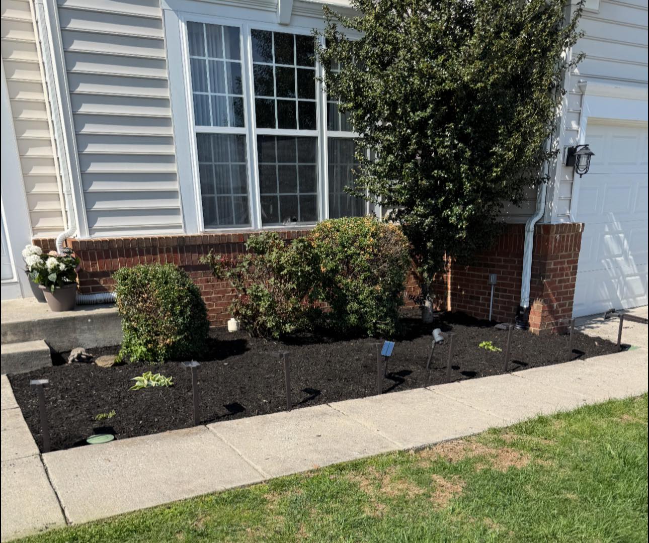 Shrub Trimming by Four Roots Landscaping in Front Royal VA