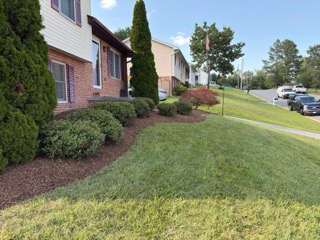 Fresh mulch beds and shrubs along a sloped front yard