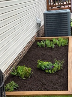 Raised timber garden bed with new plantings beside a home