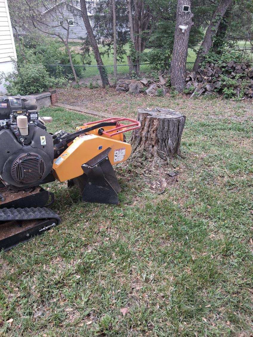 Tree Service by Four Roots Landscaping in Front Royal VA