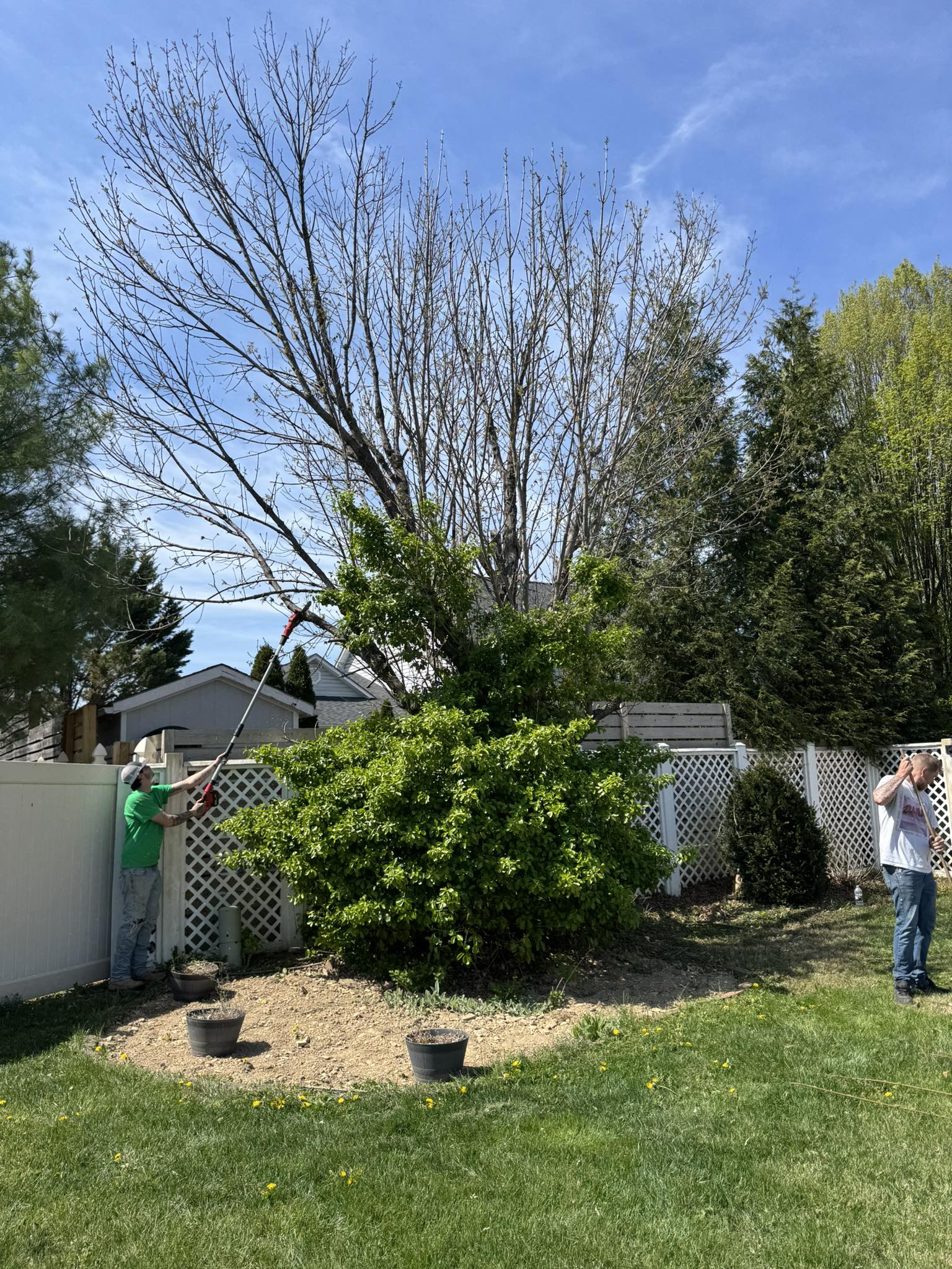 Tree Service by Four Roots Landscaping in Front Royal VA